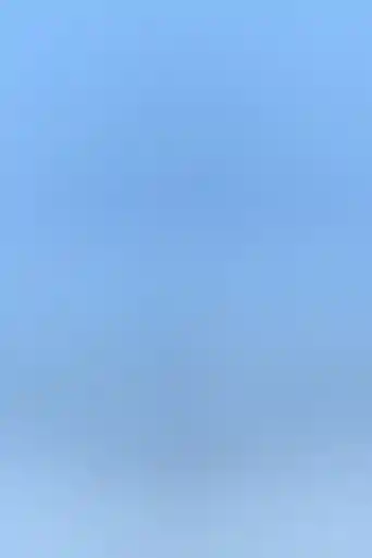 capa coisas de pássaros