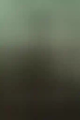 mantis