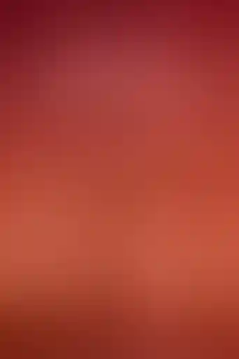 capa de volta ao velho oeste