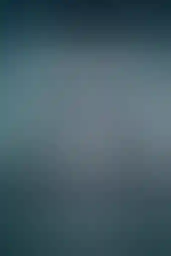 furioza 2