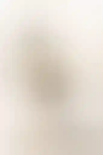 capa bee movie: a história de uma abelha