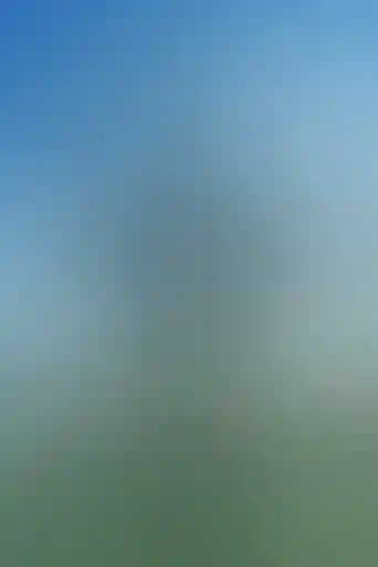 capa um maluco no golfe 2